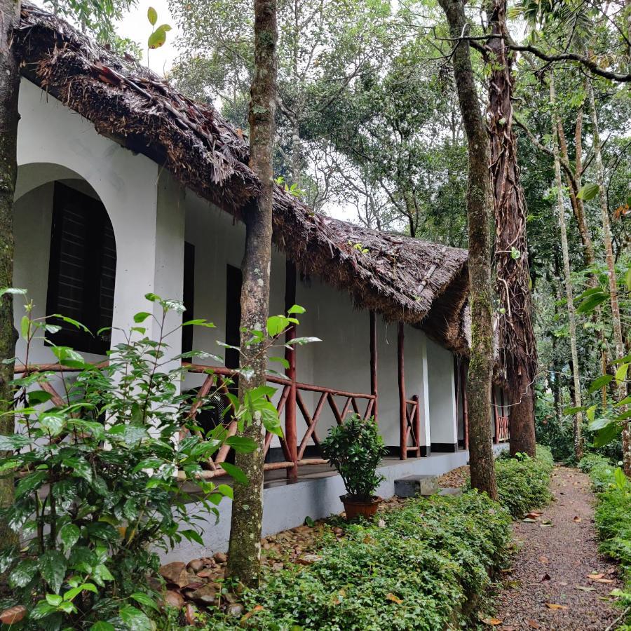 Elegant Room - Free Plantation Walk Tour with 10% Discount on F&SB & 15% off on SPA