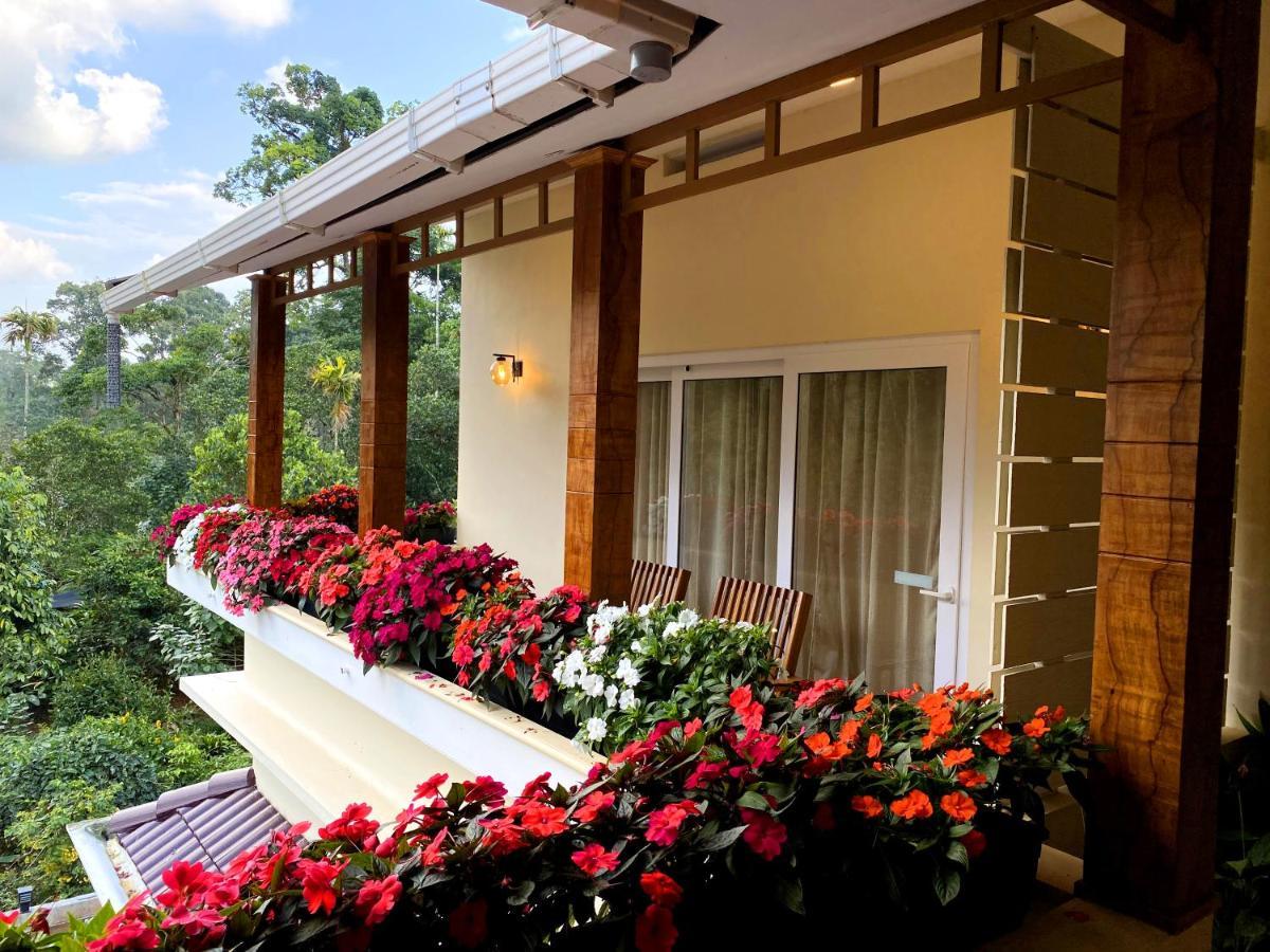 King Room with Garden View