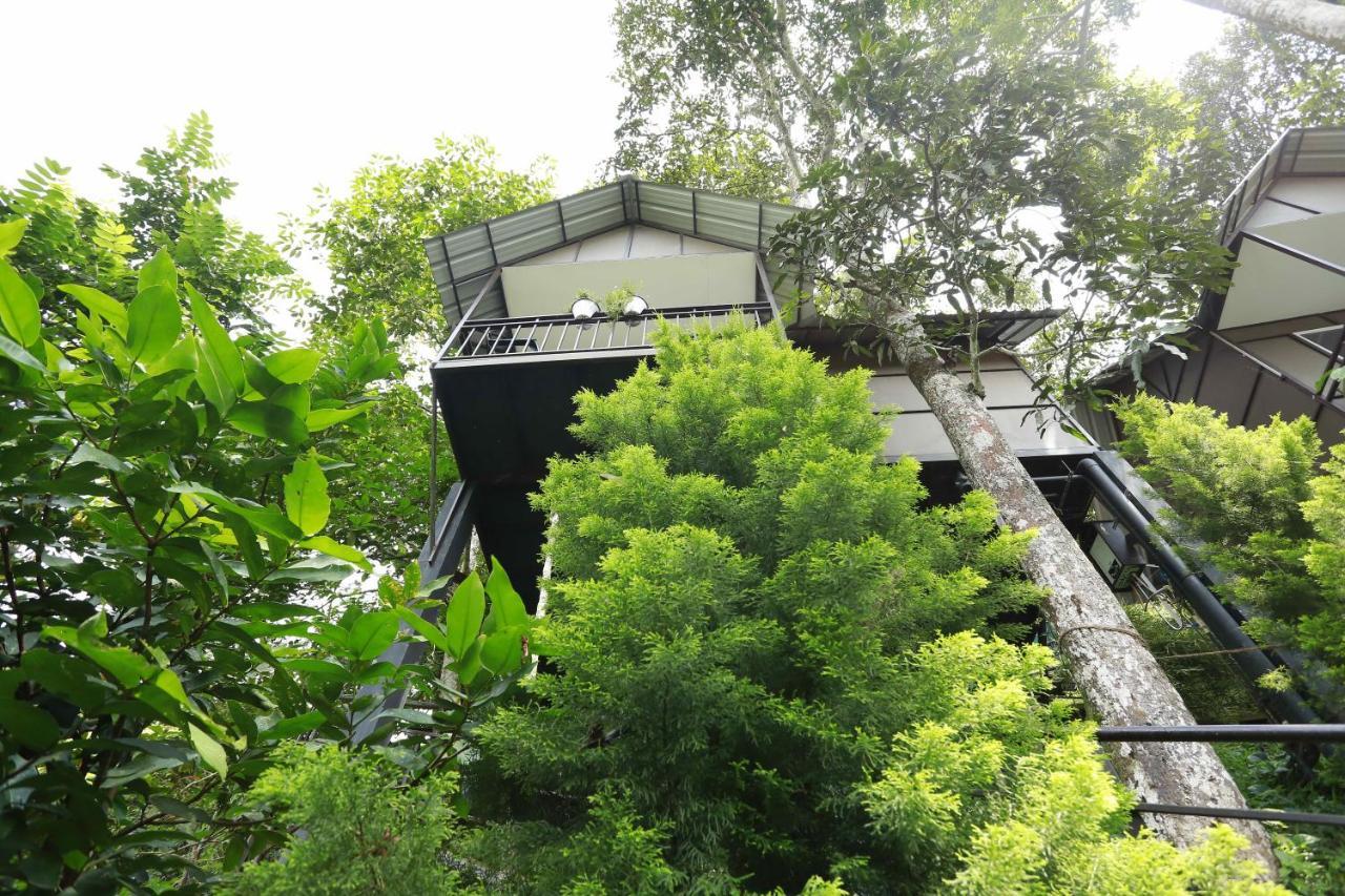 One Bedroom Villa Mountain View