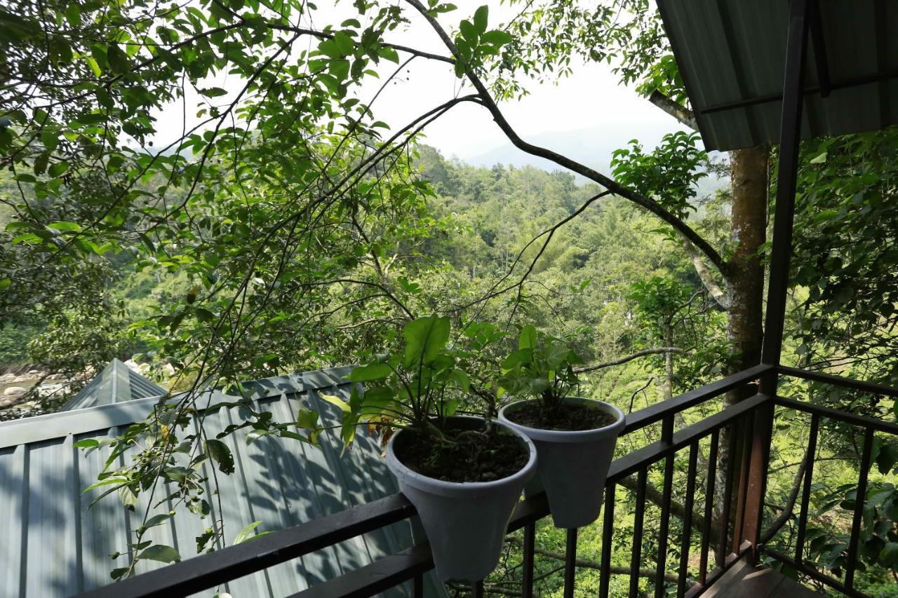 One Bedroom Villa Mountain View