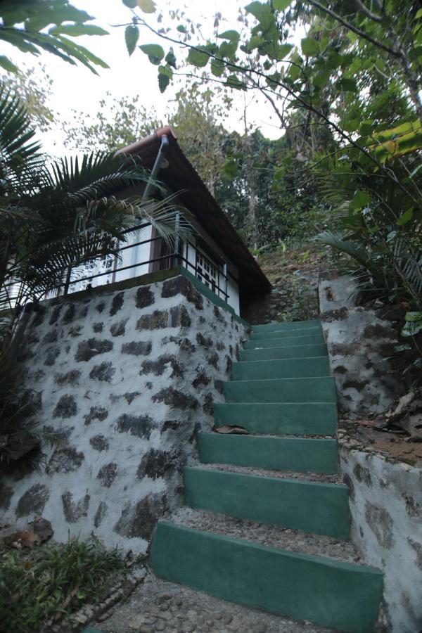 Double or Twin Room Mountain View