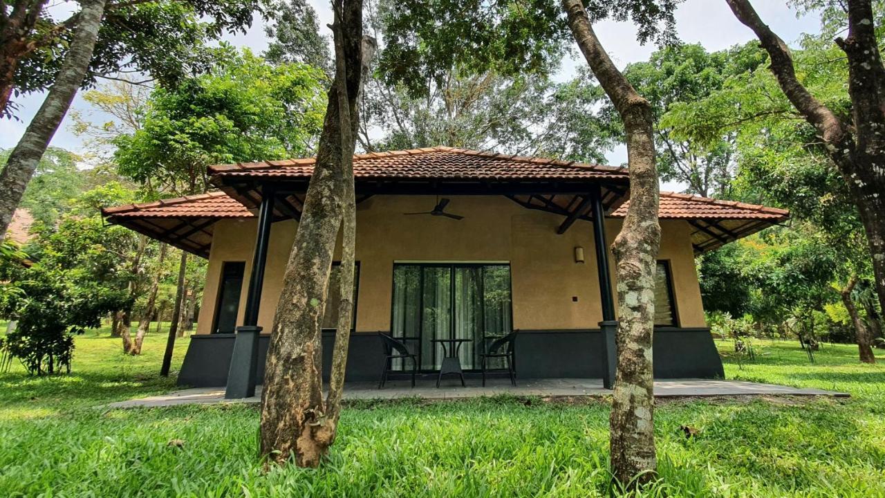 One-Bedroom Cottage with 20% discount on SPA & Complementary 3 hour early check in & Late checkout