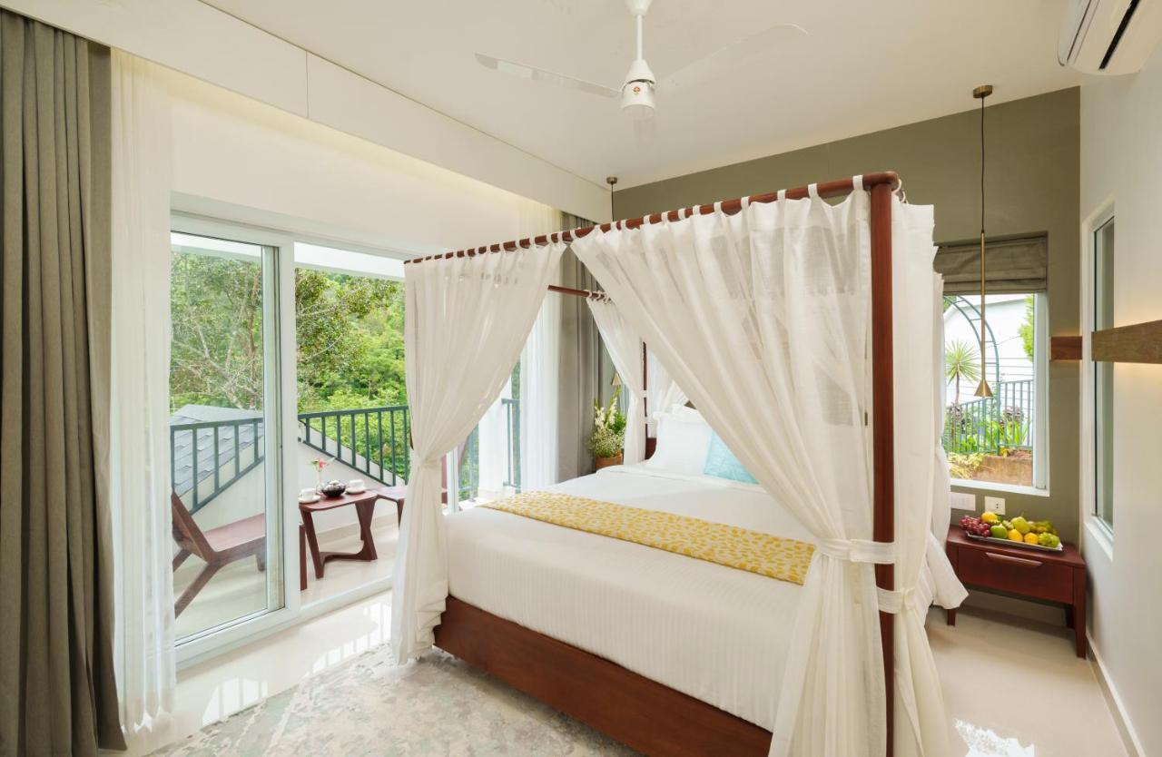 Double Room Mountain View