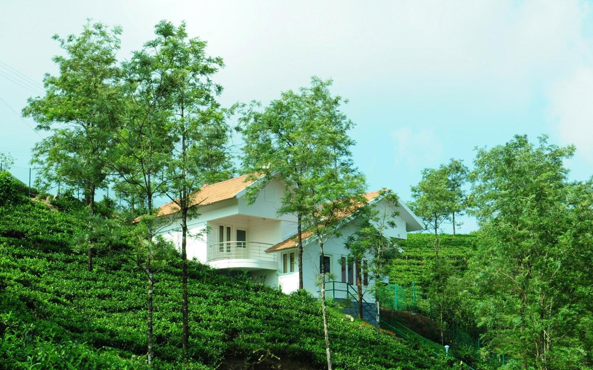 Deluxe Two-Bedroom Villa