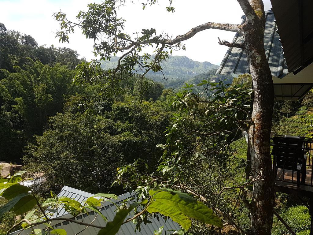 One Bedroom Villa River View