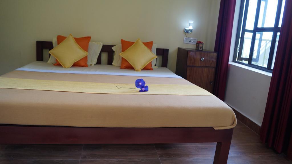 Double Room Mountain View