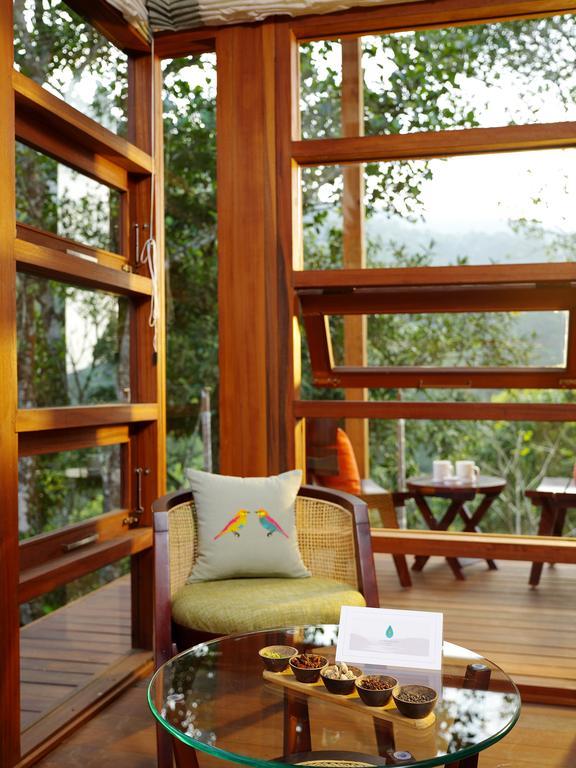 Mountain View Cottage