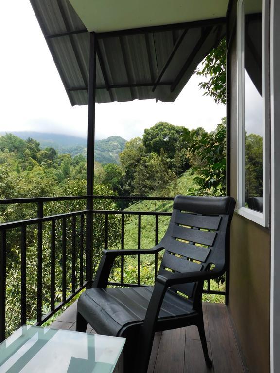 One Bedroom Villa Mountain View