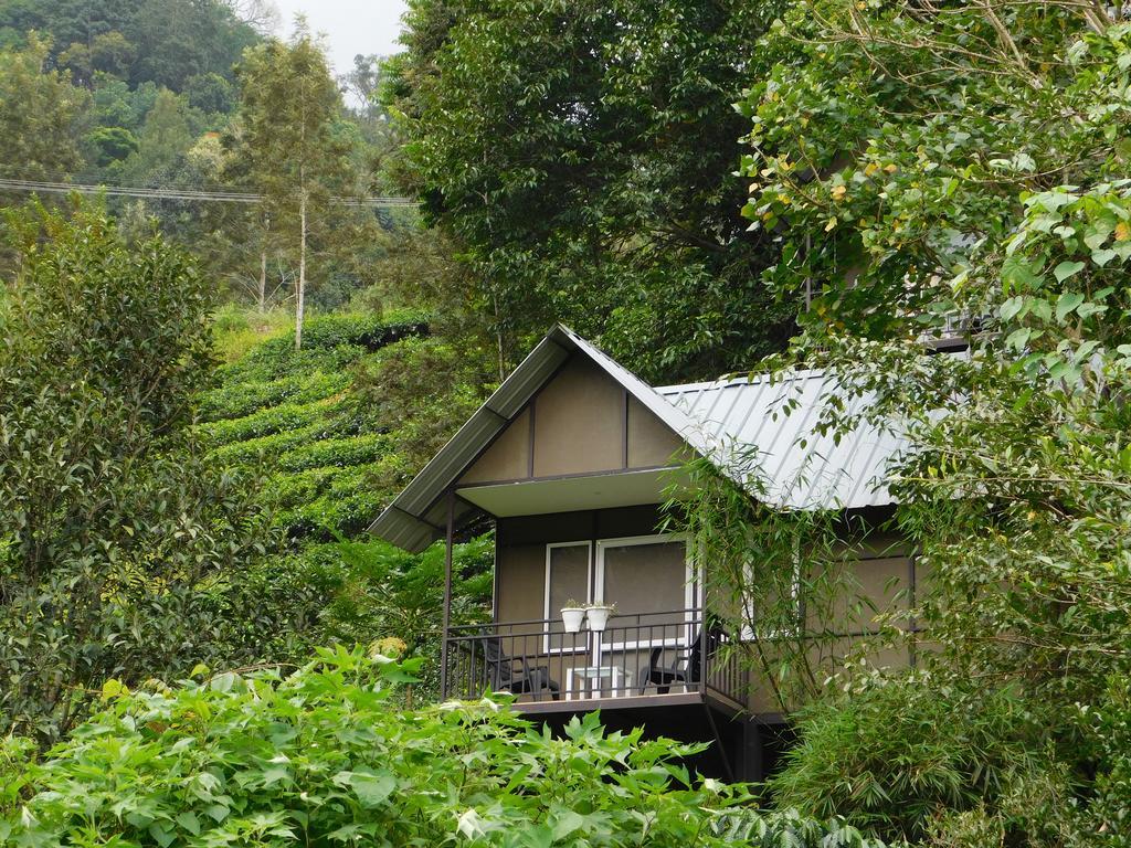One Bedroom Villa Mountain View