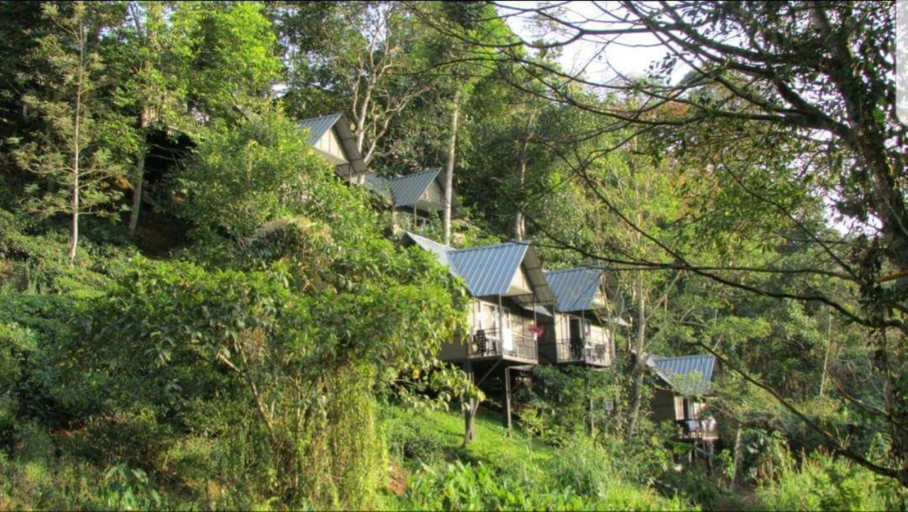 One Bedroom Villa River View
