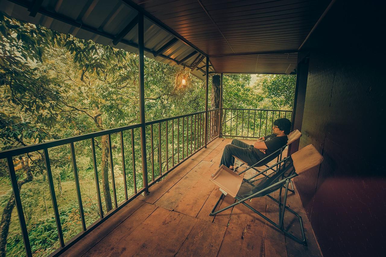 Tree House