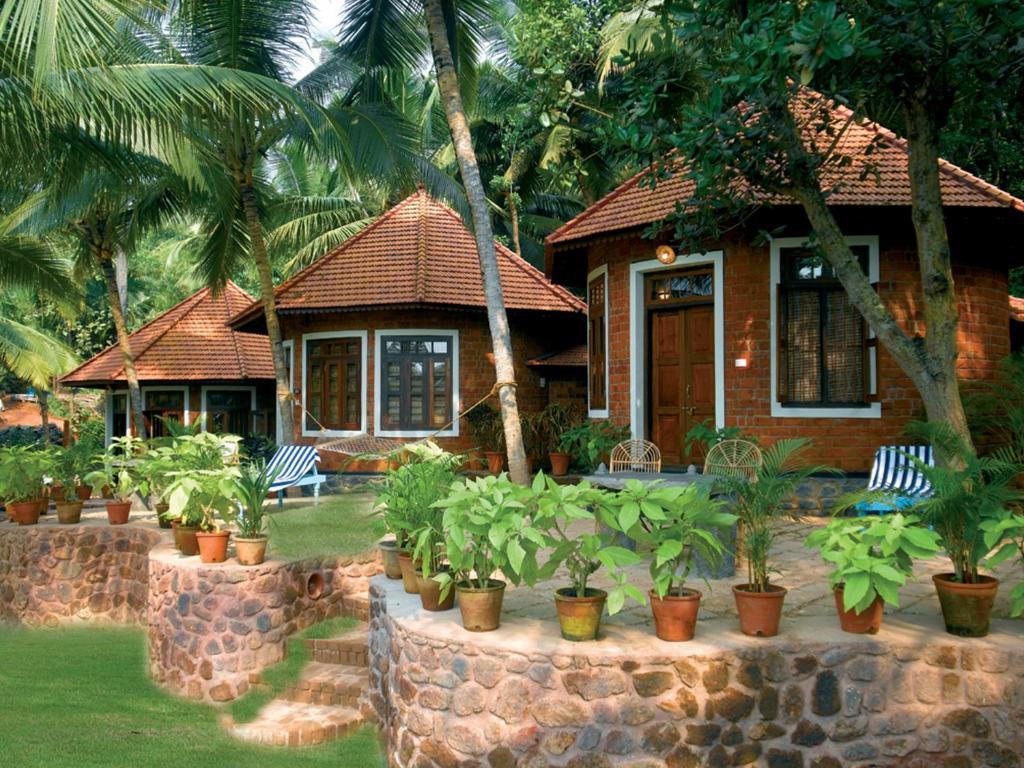 Deluxe House Kerala – Ayurveda Panchkarma / Stressbewältigungsprogramm