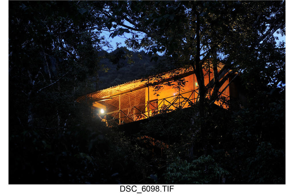 Regular Tree House,69317144:JPEG