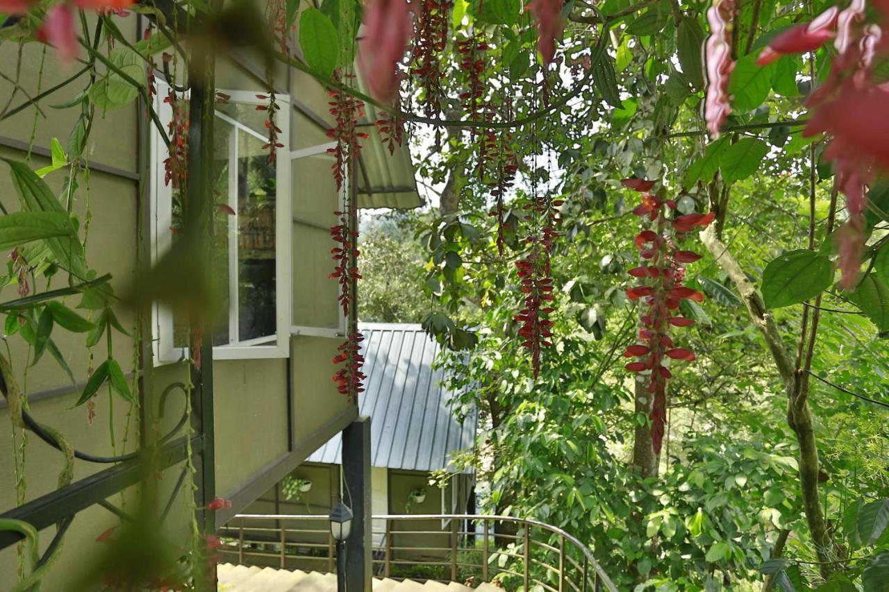 One Bedroom Villa River View
