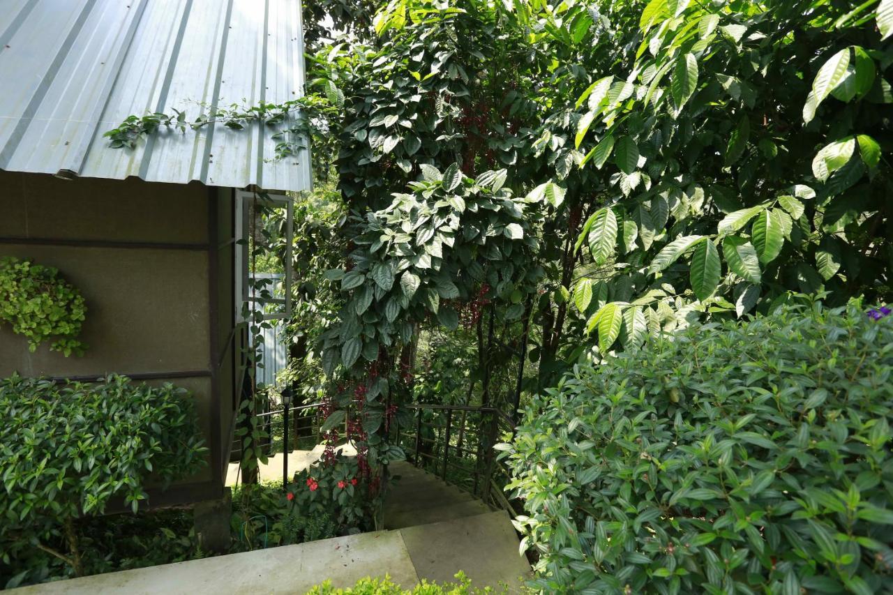 One Bedroom Villa River View