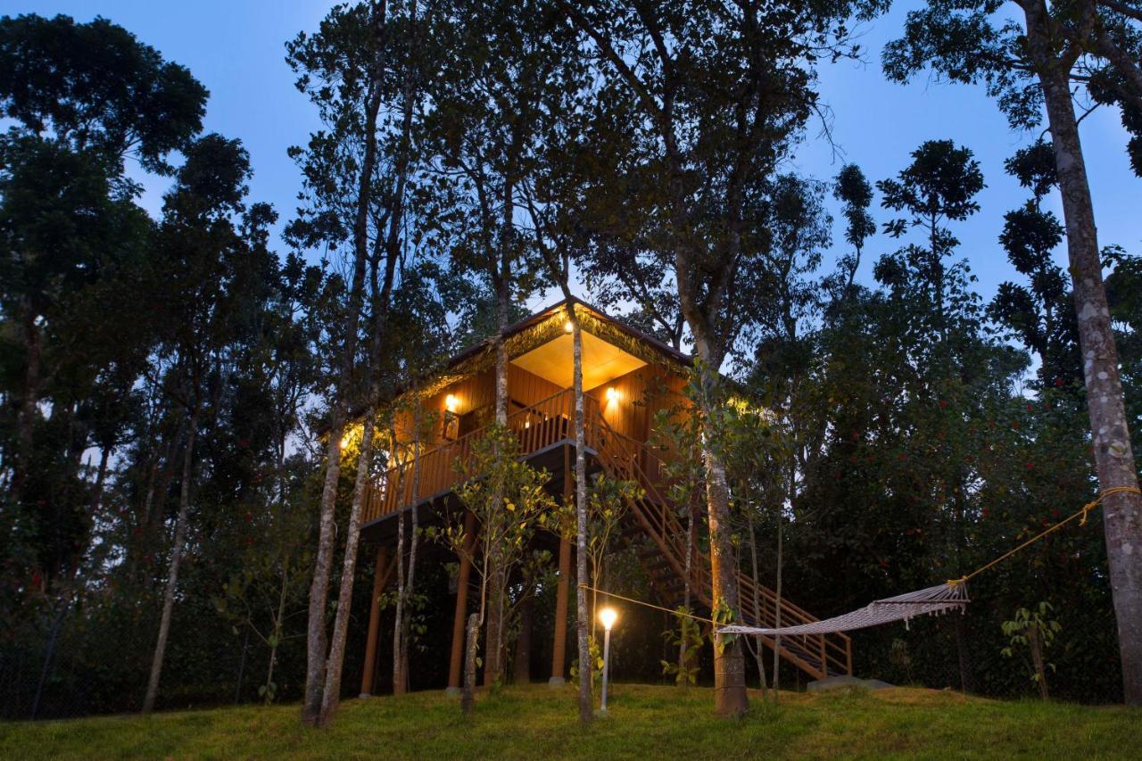 Tree House