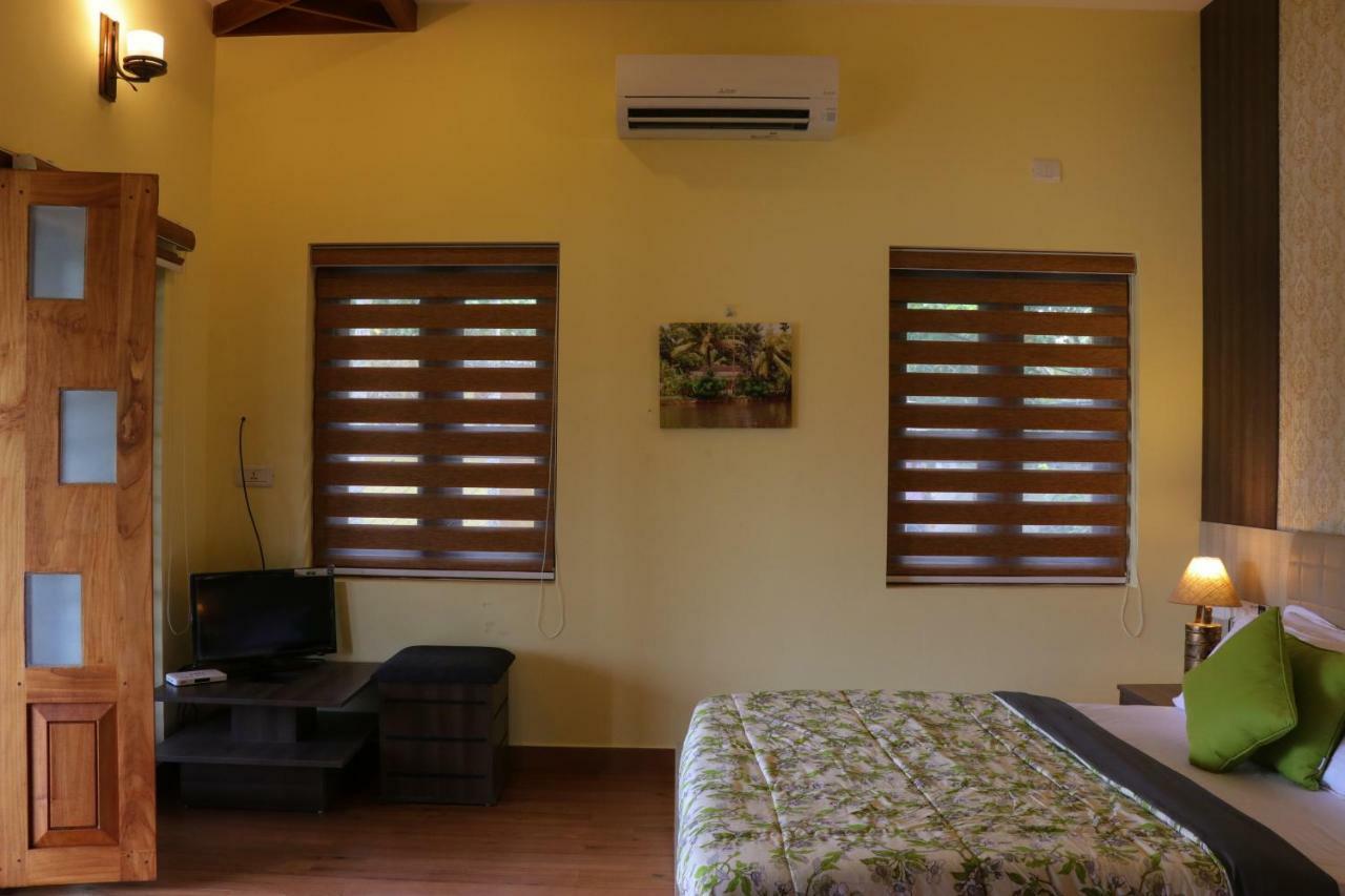 Double Room with Patio