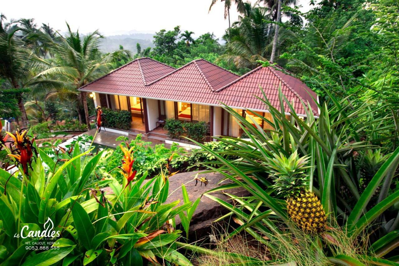 Double or Twin Room with Pool View