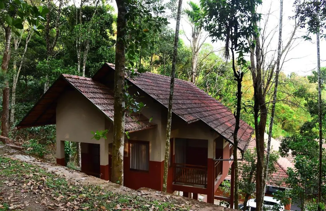 Terrace Resorts-1