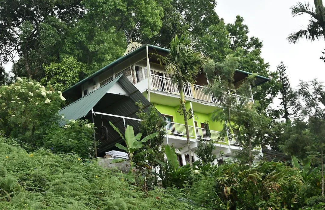 Munnar Nature Dale-1