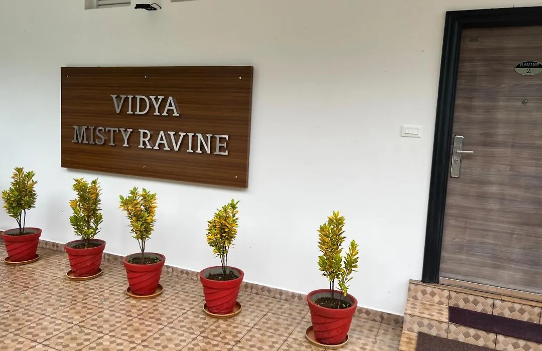 Vidya Misty Ravine-1
