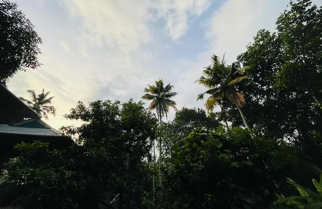 Firefly Homestay-1