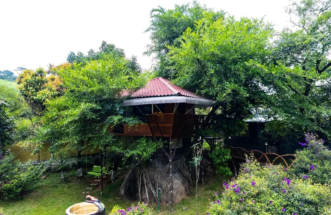 Treehouse Tabor Hills Resort Vagamon-1