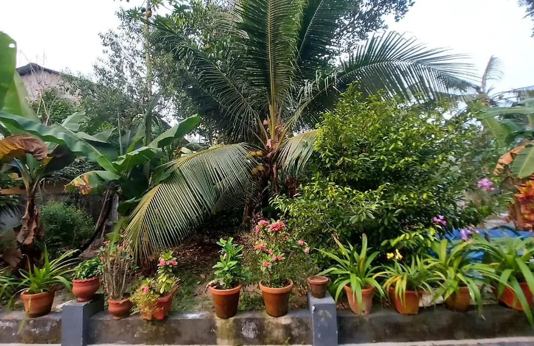 Grand Marari-1