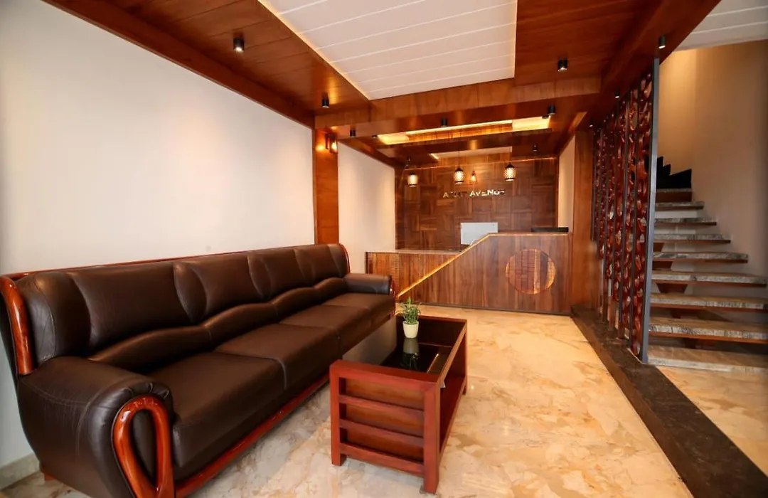 Ariat Avenue-1