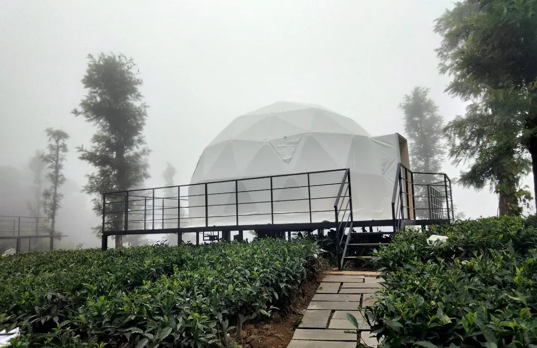 Vythiri Tea Valley I Best Hotel In Wayanad L Hotels In Vythiri Wayanad-1