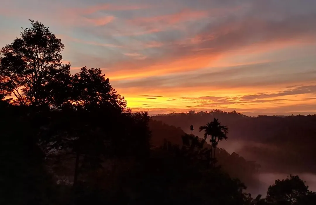 3R Residency Anachal Munnar-1