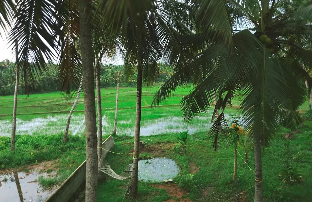 Paddy Farm House-1