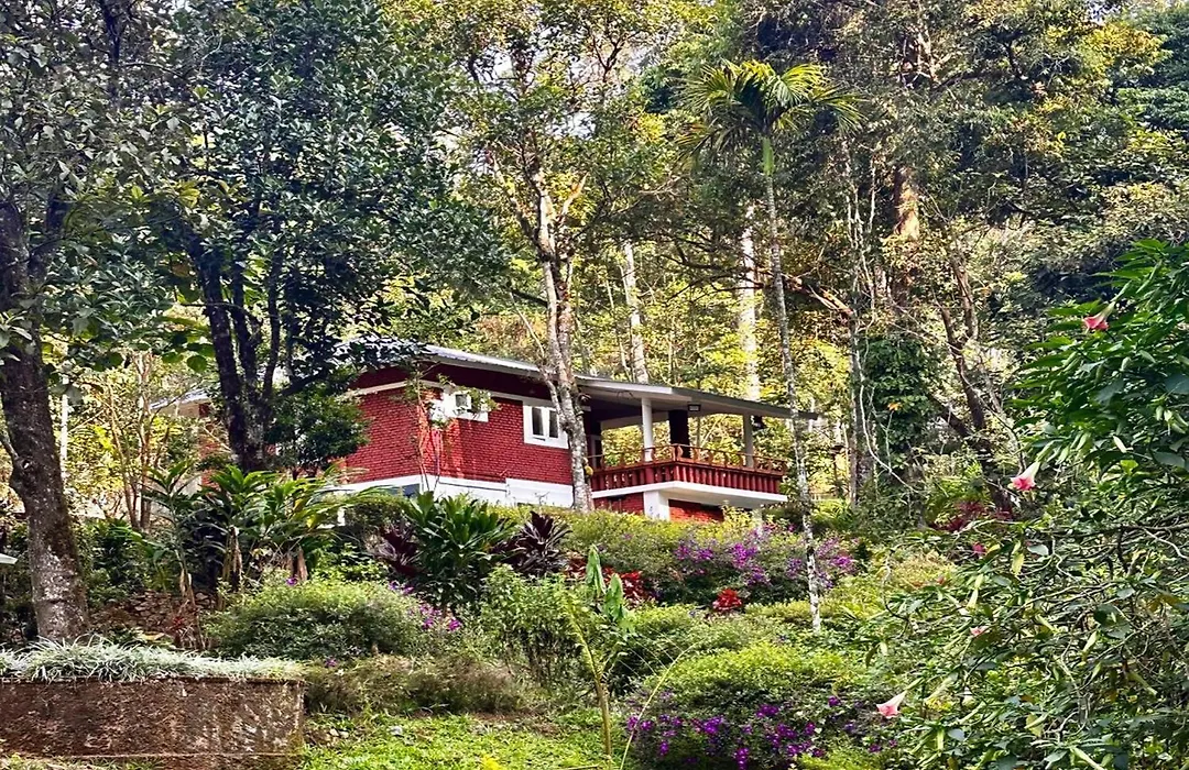 Goodland Falling Water Munnar-1