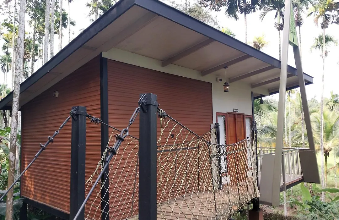 Paddy View Resort Wayanad-1