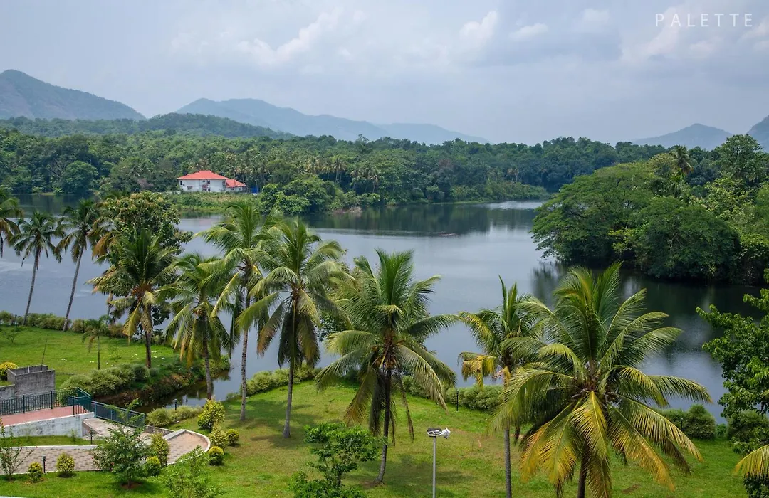 Palette - Periyar Resort-1