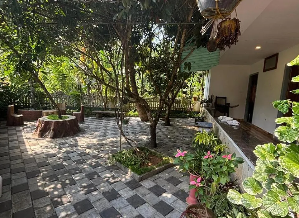 View Valley Homestay-1