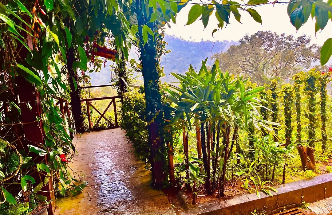 The Raarees Mist Resort, Munnar - Nested In Nature'S Lap-1