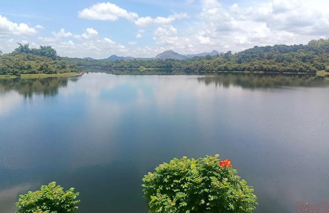 Casa Lake View Resort Wayanad-1
