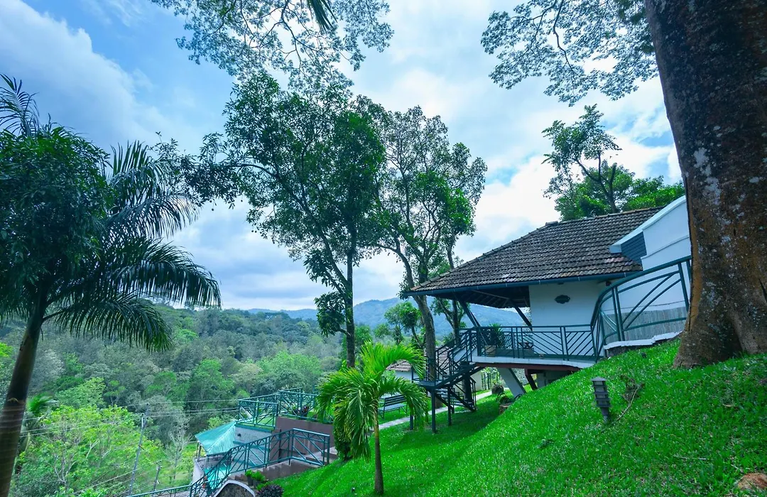 Forest Canopy Thekkady-1