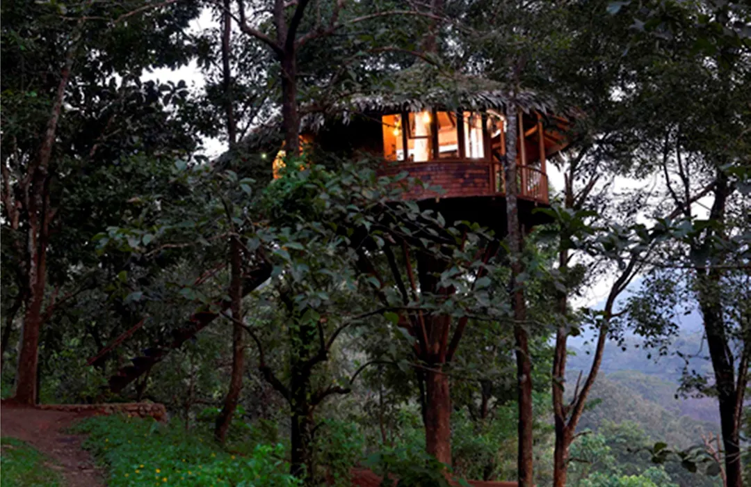 Rainforest Resort-1