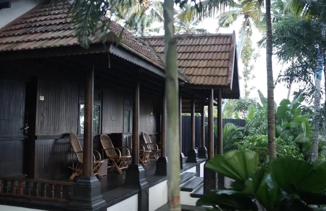 Jeevan Homestay & Ayurvedic Yoga Retreat-1