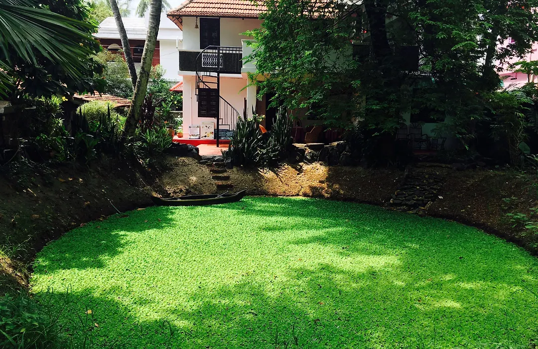 Eden Garden Farmstay, Kochi-1