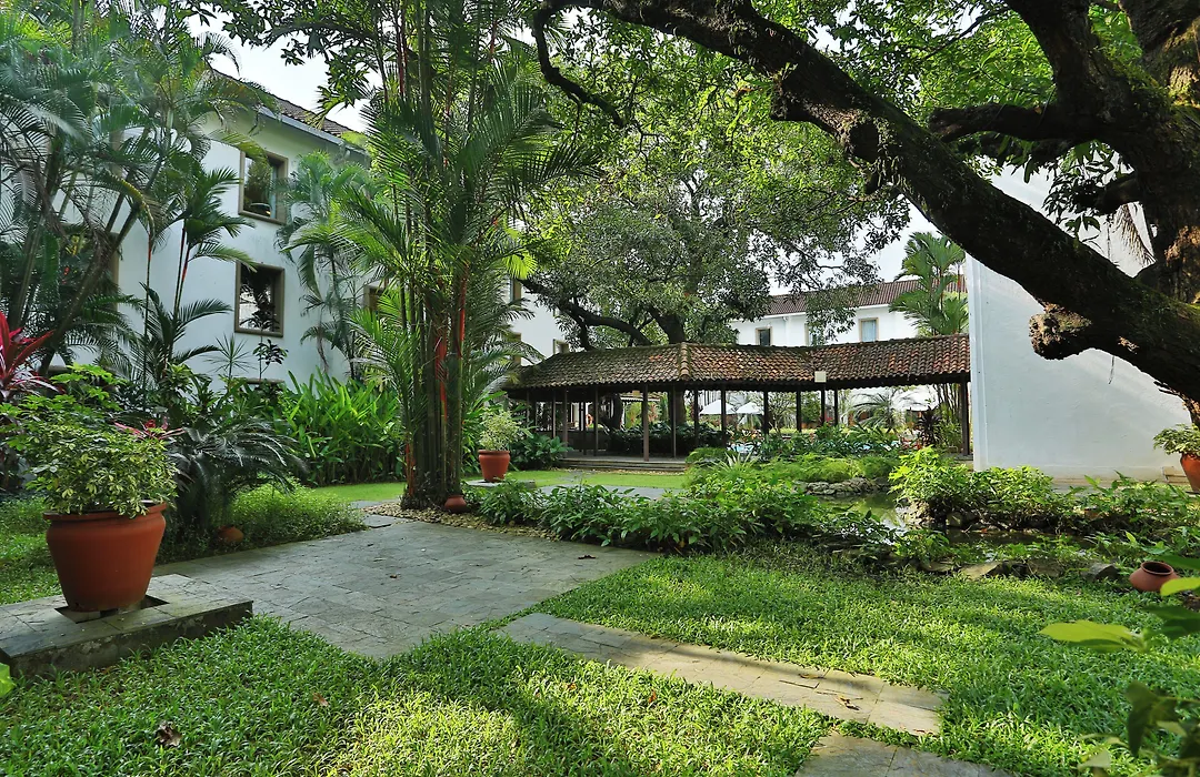 The Fern Kochi, Series By Marriott-1