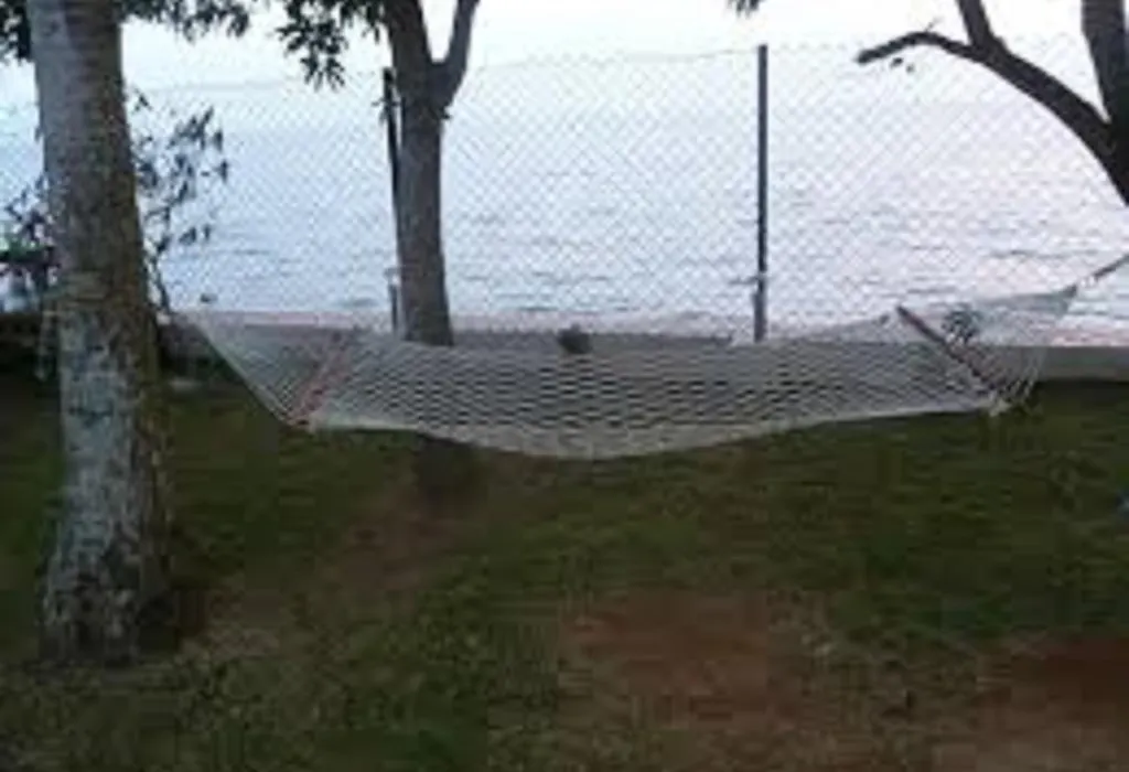 Saro Lake County-1