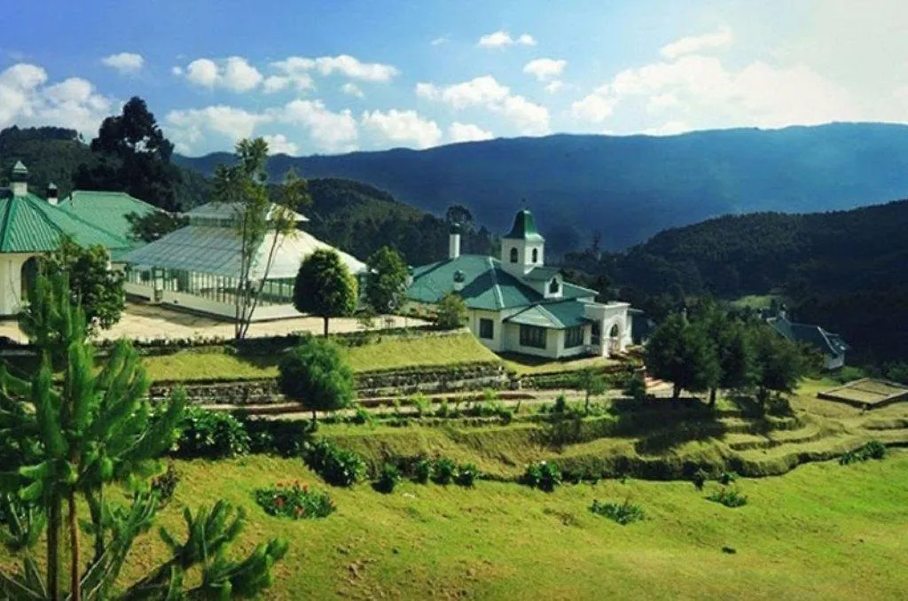 Camp Noel-1