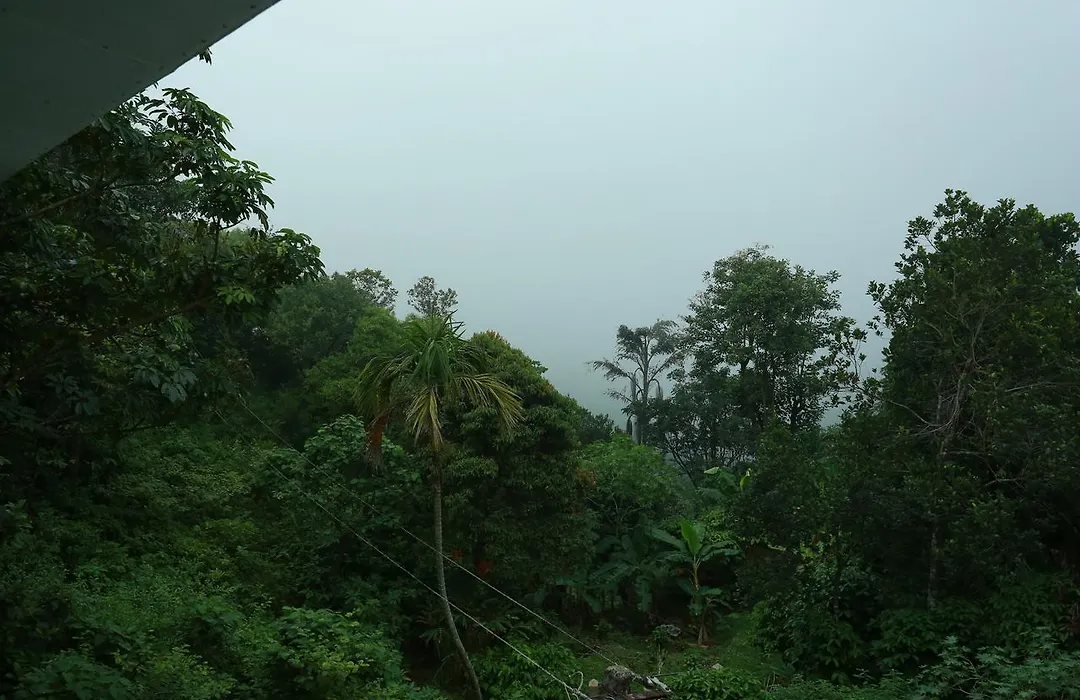 Bliss Vagamon-1