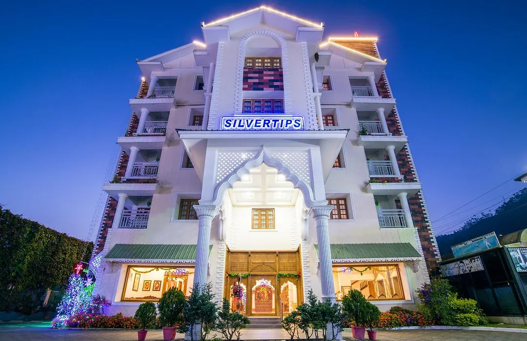 The Silver Tips-1