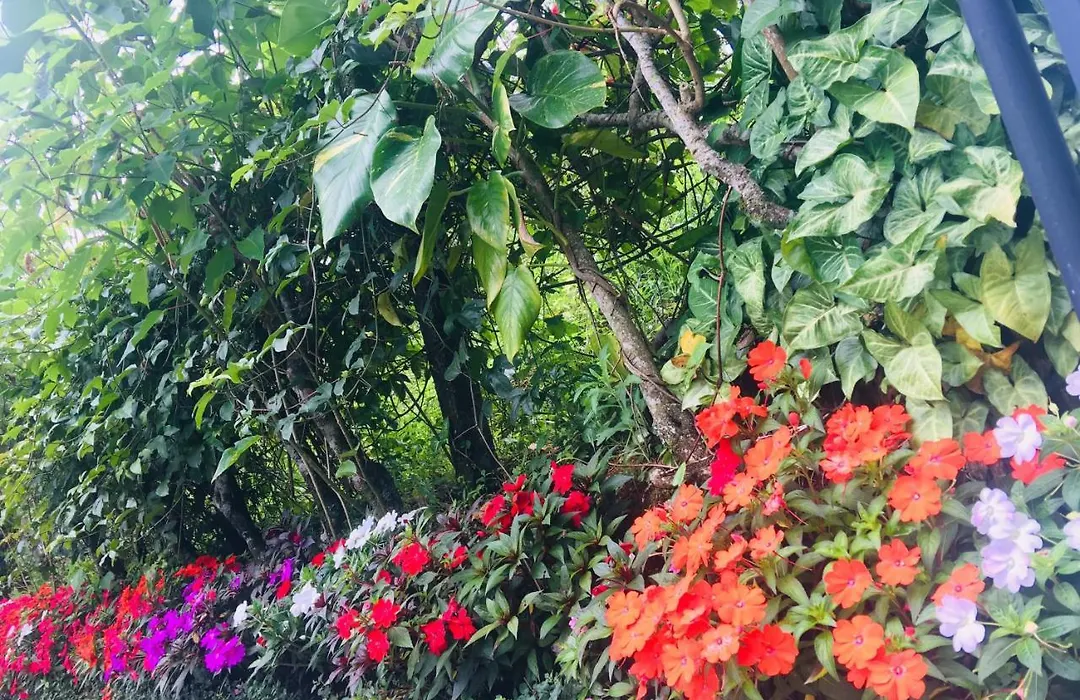 Lizmerrycasa Homestay-1