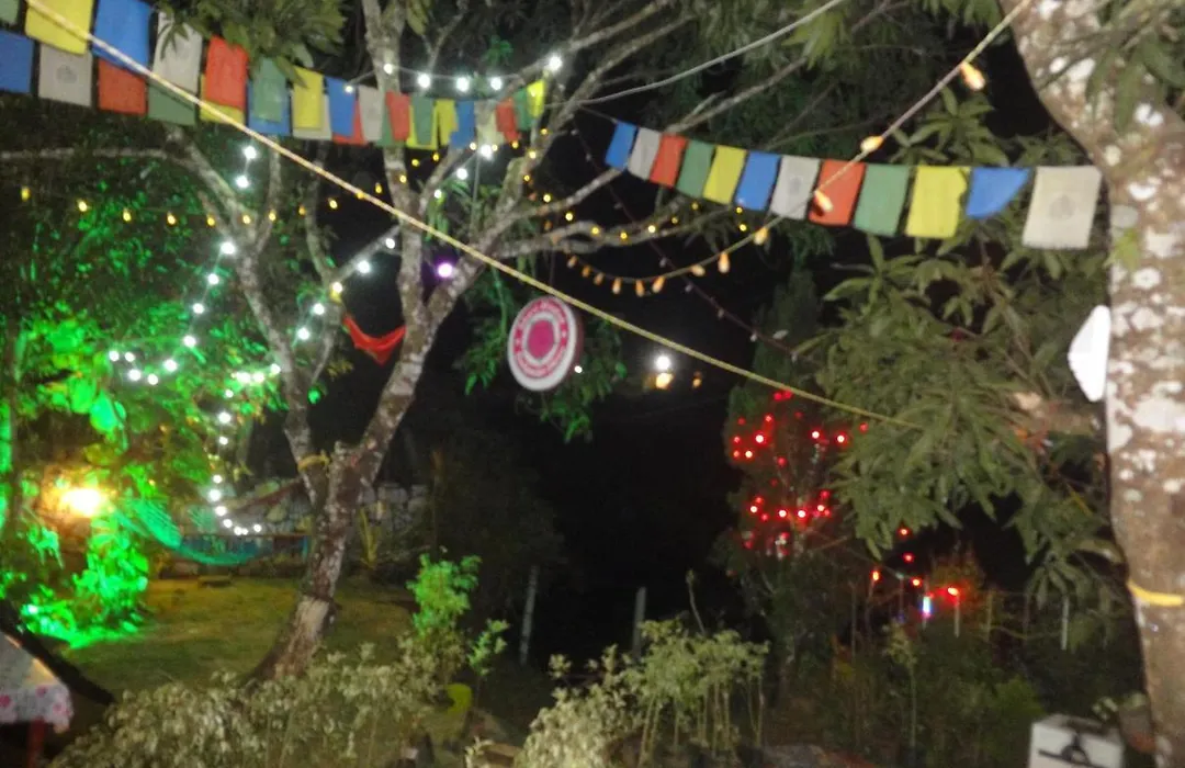 Share Hostel Munnar-1
