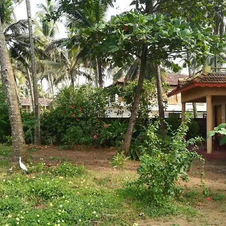 Sukriti Beach Resort-2